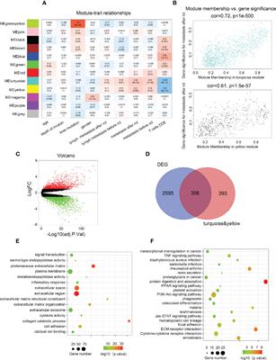 MXRA8 is an immune-relative prognostic biomarker associated with metastasis and CD8+ T cell infiltration in colorectal cancer